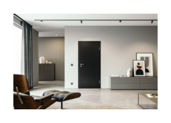 Modernes Wohnzimmer mit schwarzer Tür, minimalistischer Dekoration und grauen Möbeln