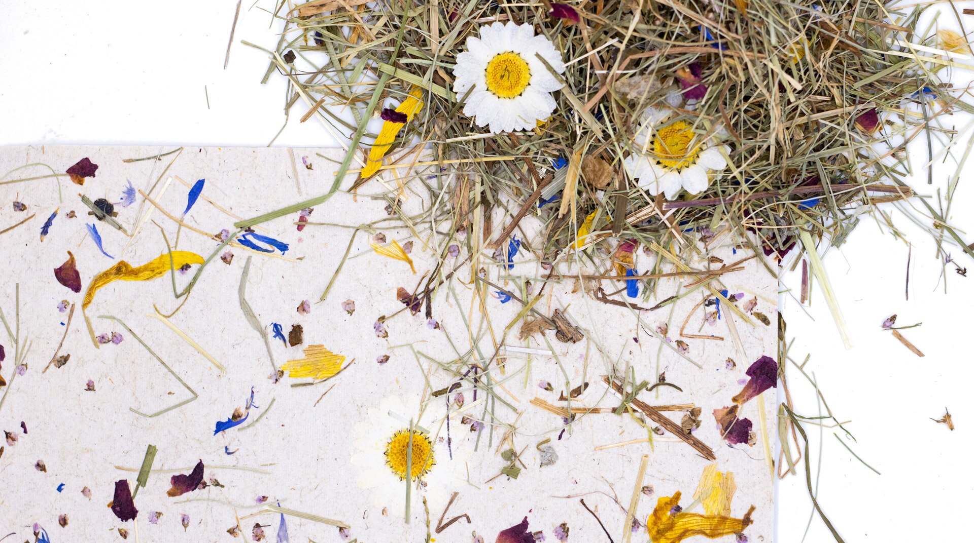 9_ALMWIESN light on flaxfleece_WSPALM2020FVPRW_promotion photos (c) Organoid Natural Surfaces (9) 2zu3 websize.jpg | © ORGANOID® TECHNOLOGIES GMBH