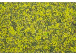 Grüne Strukturplatte mit gelben Blütenanteilen