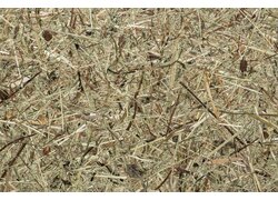 Duftendes, handgesenstes Almheu aus Bergwiesen