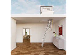 Schaubild Flachdachausstieg mit Scherentreppe Exklusiv