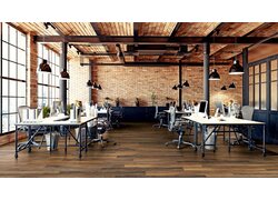 Lichtdurchfluteter Raum mit Holzregalen und Pflanzen.