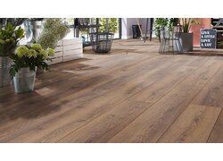 Raum mit Pflanzen, Körben und Holzfußboden.