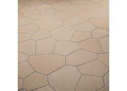 DF 10 silber