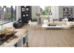 Raumszene, Tisch, Stühle, Fenster, Bodenbelag